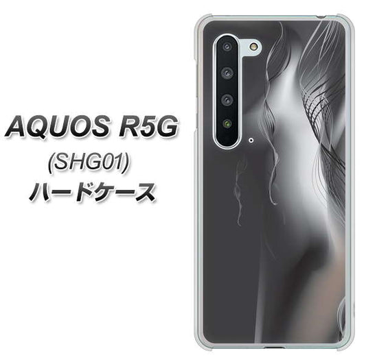 au アクオス R5G SHG01 高画質仕上げ 背面印刷 ハードケース【566 ボディウォール】
