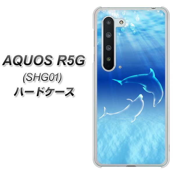 au アクオス R5G SHG01 高画質仕上げ 背面印刷 ハードケース【1048 海の守り神イルカ】