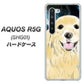 au アクオス R5G SHG01 高画質仕上げ 背面印刷 ハードケース【YD826 ゴールデンレトリバー02】