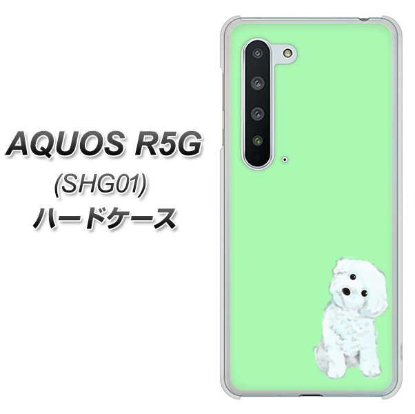 au アクオス R5G SHG01 高画質仕上げ 背面印刷 ハードケース【YJ071 トイプードルホワイト（グリーン）】