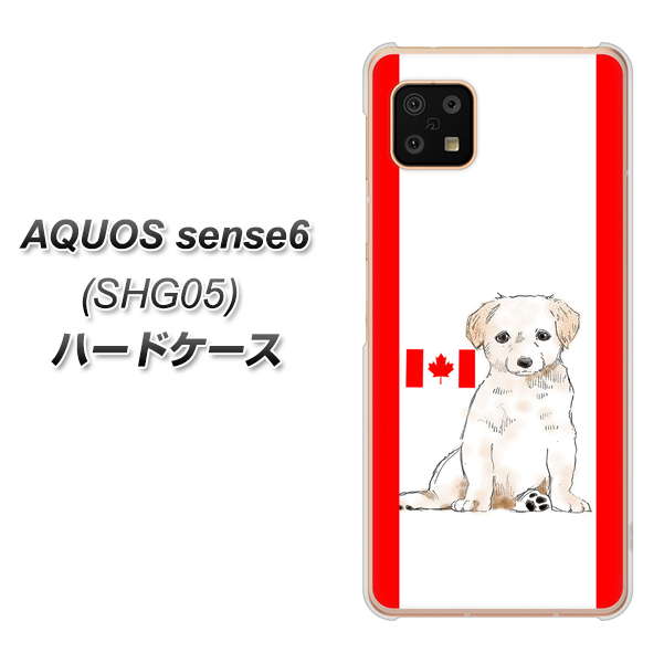 AQUOS sense6 SHG05 au 高画質仕上げ 背面印刷 ハードケース【YD824 ラブラドールレトリバー05】