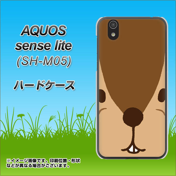 アクオス センス ライト SH-M05 高画質仕上げ 背面印刷 ハードケース【349 りす】