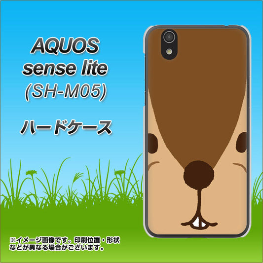 AQUOS sense lite 349 りす ハードケース 背面印刷