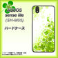 アクオス センス ライト SH-M05 高画質仕上げ 背面印刷 ハードケース【565 四葉のクローバー】