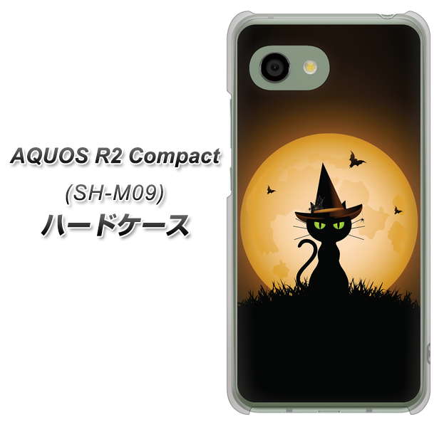 アクオス R2 コンパクト SH-M09 高画質仕上げ 背面印刷 ハードケース【440 猫の魔法使い】