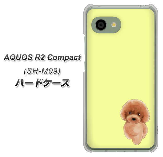アクオス R2 コンパクト SH-M09 高画質仕上げ 背面印刷 ハードケース【YJ051 トイプードルレッド（イエロー）】