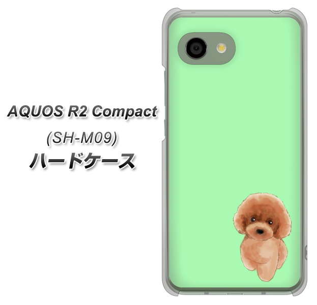 アクオス R2 コンパクト SH-M09 高画質仕上げ 背面印刷 ハードケース【YJ052 トイプードルレッド（ グリーン）】
