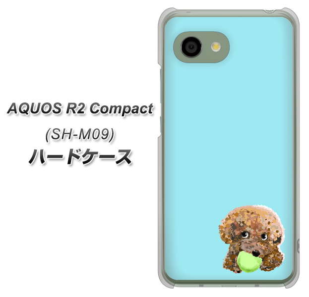 アクオス R2 コンパクト SH-M09 高画質仕上げ 背面印刷 ハードケース【YJ054 トイプードル＆ボール（ブルー）】