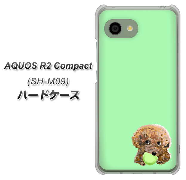アクオス R2 コンパクト SH-M09 高画質仕上げ 背面印刷 ハードケース【YJ055 トイプードル＆ボール（グリーン）】
