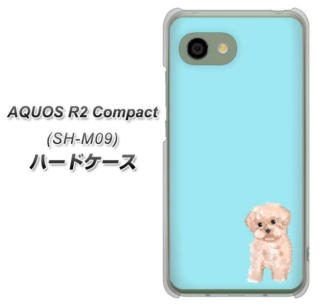 アクオス R2 コンパクト SH-M09 高画質仕上げ 背面印刷 ハードケース【YJ062 トイプードルアプリコット（ブルー）】