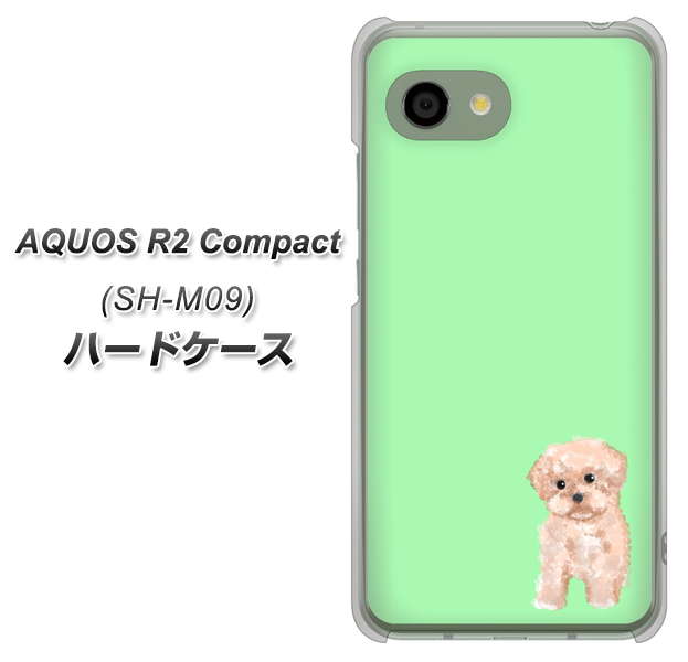 アクオス R2 コンパクト SH-M09 高画質仕上げ 背面印刷 ハードケース【YJ063 トイプードルアプリコット（グリーン）】