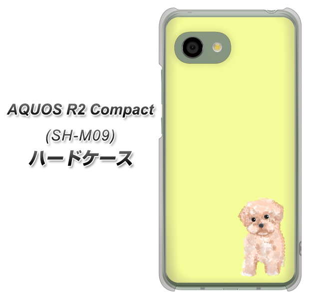 アクオス R2 コンパクト SH-M09 高画質仕上げ 背面印刷 ハードケース【YJ064 トイプードルアプリコット（イエロー）】