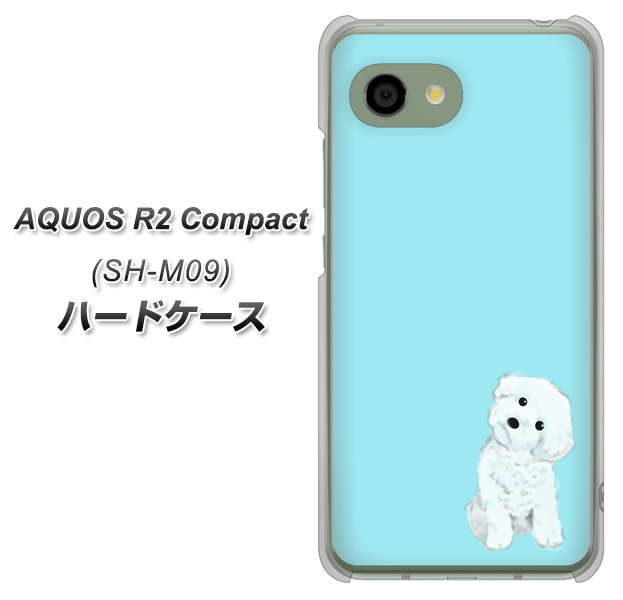 アクオス R2 コンパクト SH-M09 高画質仕上げ 背面印刷 ハードケース【YJ070 トイプードルホワイト（ブルー）】