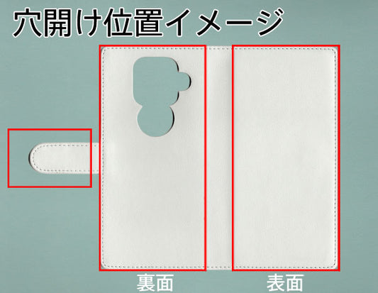 AQUOS sense4 plus SH-M16 ダイヤモンドパイソン（本革） 手帳型ケース