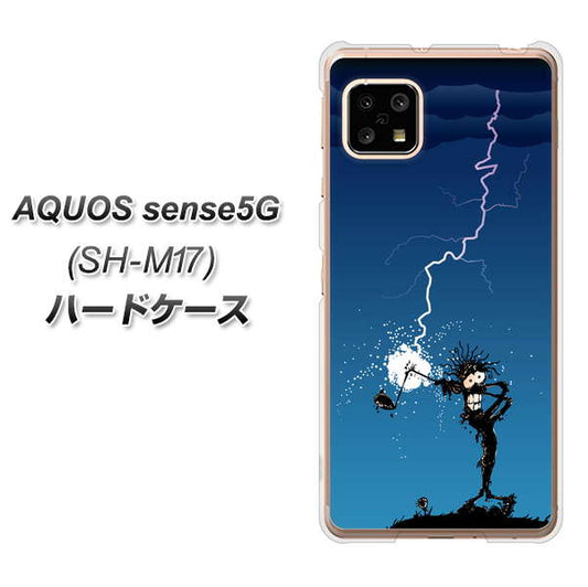 SIMフリー アクオスセンス5G SH-M17 高画質仕上げ 背面印刷 ハードケース【417 ゴルファーの苦難】