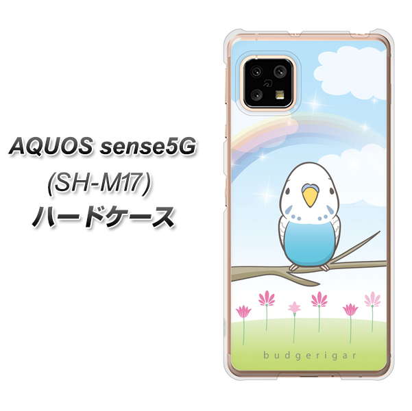 SIMフリー アクオスセンス5G SH-M17 高画質仕上げ 背面印刷 ハードケース【SC839 セキセイインコ ブルー】