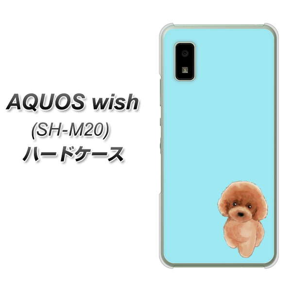 AQUOS wish SH-M20 高画質仕上げ 背面印刷 ハードケース【YJ050 トイプードルレッド（ブルー）】