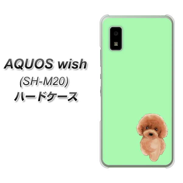 AQUOS wish SH-M20 高画質仕上げ 背面印刷 ハードケース【YJ052 トイプードルレッド（ グリーン）】