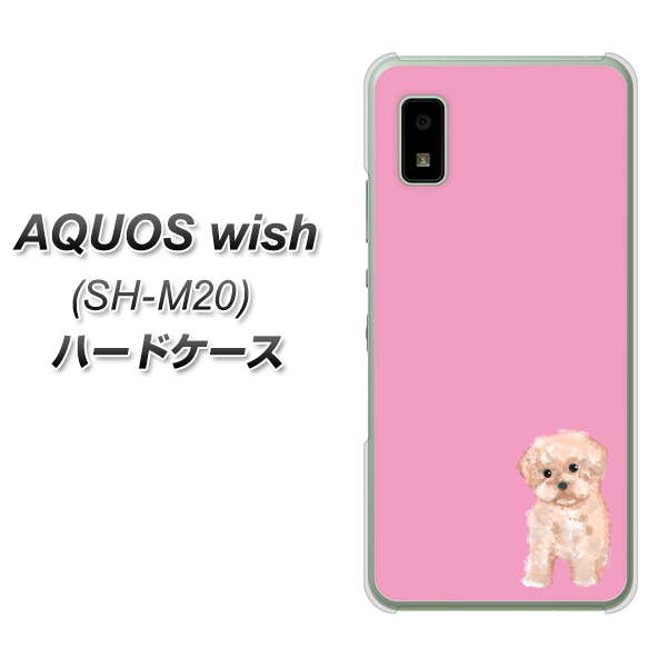 AQUOS wish SH-M20 高画質仕上げ 背面印刷 ハードケース【YJ061 トイプードルアプリコット（ピンク）】
