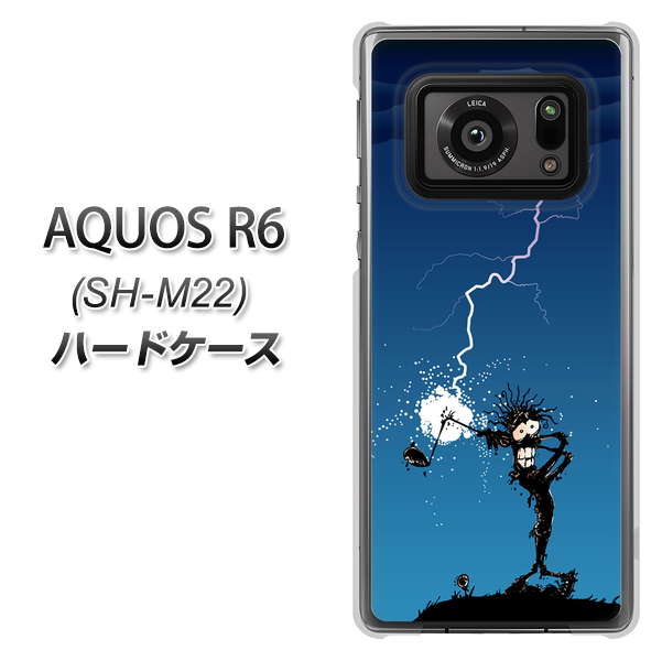 SIMフリー アクオスR6 SH-M22 高画質仕上げ 背面印刷 ハードケース【417 ゴルファーの苦難】