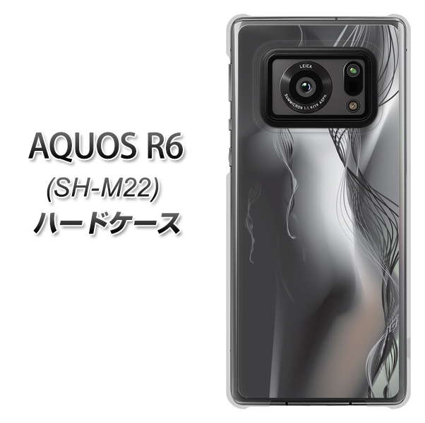 SIMフリー アクオスR6 SH-M22 高画質仕上げ 背面印刷 ハードケース【566 ボディウォール】