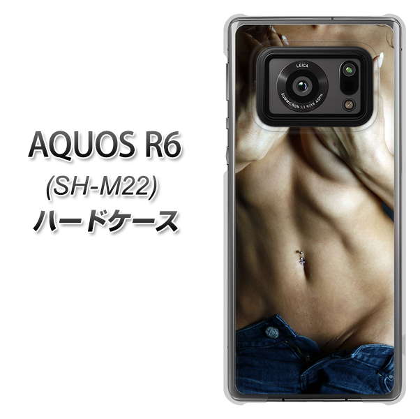 SIMフリー アクオスR6 SH-M22 高画質仕上げ 背面印刷 ハードケース【602 ボディライン】