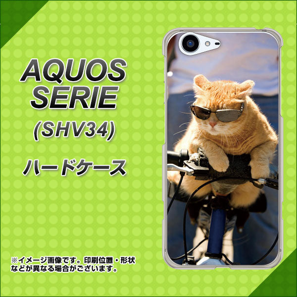 au アクオス セリエ SHV34 高画質仕上げ 背面印刷 ハードケース【595 にゃんとサイクル】