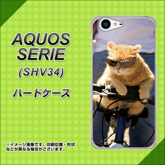 au アクオス セリエ SHV34 高画質仕上げ 背面印刷 ハードケース【595 にゃんとサイクル】