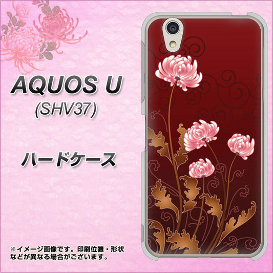 au アクオス U SHV37 高画質仕上げ 背面印刷 ハードケース【375 優美な菊】