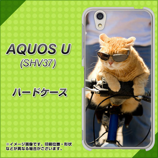 au アクオス U SHV37 高画質仕上げ 背面印刷 ハードケース【595 にゃんとサイクル】