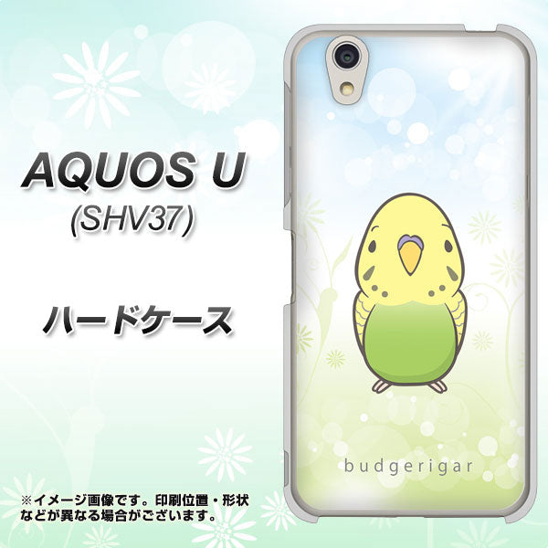 au アクオス U SHV37 高画質仕上げ 背面印刷 ハードケース【SC838 セキセイインコ グリーン】
