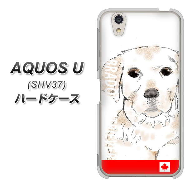 au アクオス U SHV37 高画質仕上げ 背面印刷 ハードケース【YD821 ラブラドールレトリバー02】