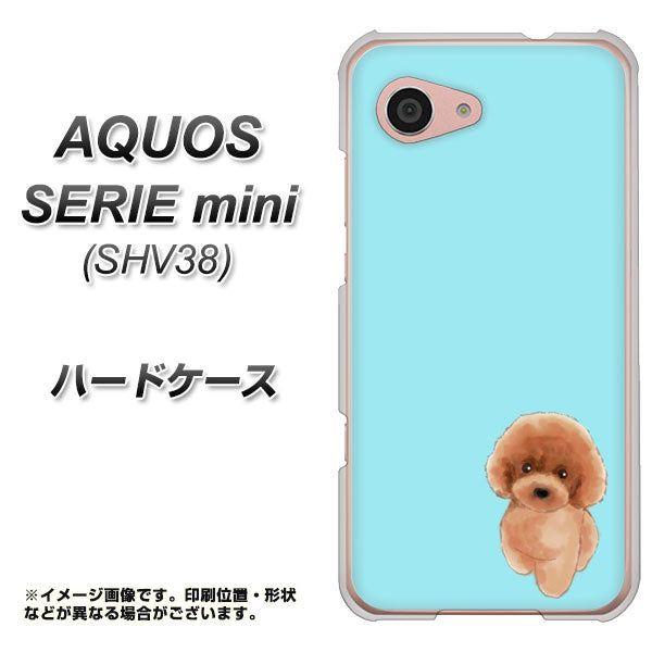 au アクオス セリエ ミニ SHV38 高画質仕上げ 背面印刷 ハードケース【YJ050 トイプードルレッド（ブルー）】