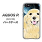 au アクオスR SHV39 高画質仕上げ 背面印刷 ハードケース【YD826 ゴールデンレトリバー02】