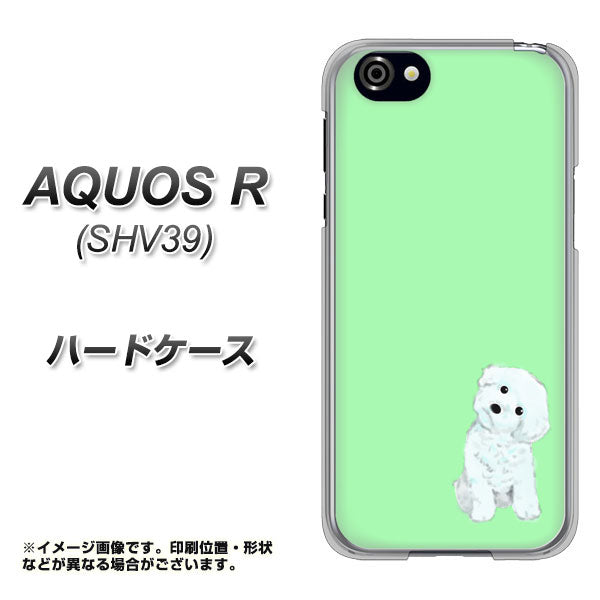 au アクオスR SHV39 高画質仕上げ 背面印刷 ハードケース【YJ071 トイプードルホワイト（グリーン）】