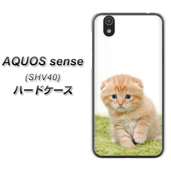 au アクオス センス SHV40 高画質仕上げ 背面印刷 ハードケース【VA802 ネコこっそり】