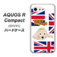 au アクオスR コンパクト SHV41 高画質仕上げ 背面印刷 ハードケース【YD825 ゴールデンレトリバー01】