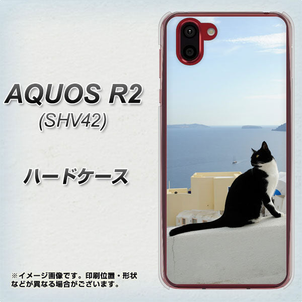 au アクオス R2 SHV42 高画質仕上げ 背面印刷 ハードケース【VA805 ネコと地中海】