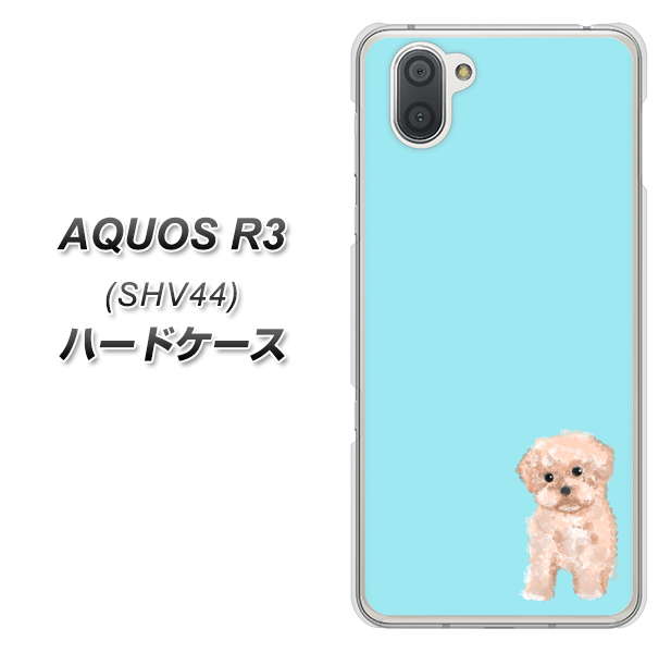 au アクオス R3 SHV44 高画質仕上げ 背面印刷 ハードケース【YJ062 トイプードルアプリコット（ブルー）】