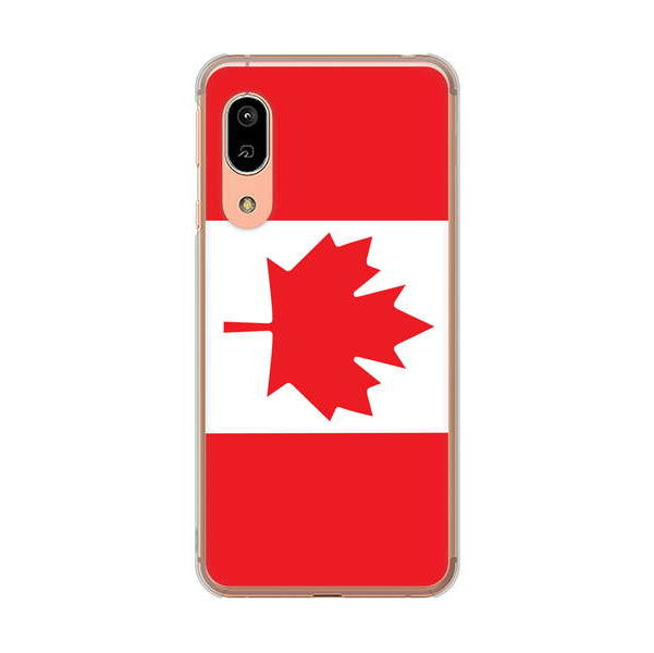 AQUOS sense3 SHV45 au 高画質仕上げ 背面印刷 ハードケース 国旗