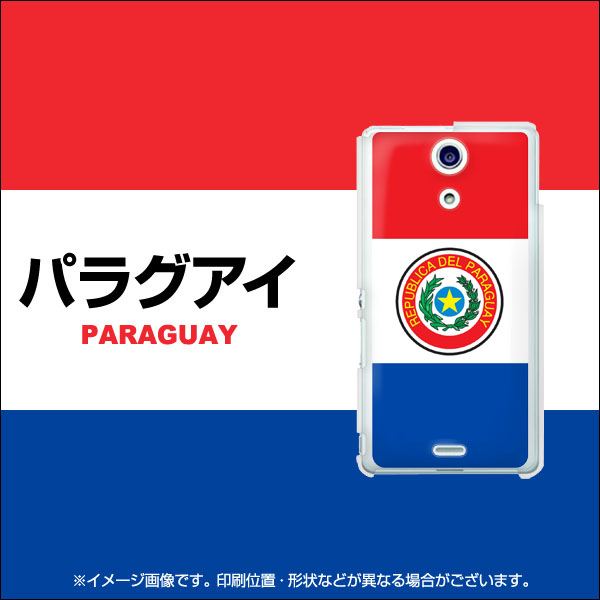 docomo エクスペリアA（エース）SO-04E 高画質仕上げ 背面印刷 ハードケース【662 パラグアイ】