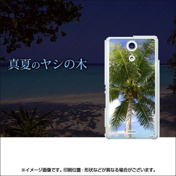 docomo エクスペリアA（エース）SO-04E 高画質仕上げ 背面印刷 ハードケース【EK843 真夏のヤシの木】