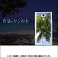 docomo エクスペリアA（エース）SO-04E 高画質仕上げ 背面印刷 ハードケース【EK843 真夏のヤシの木】