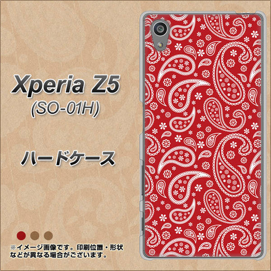 docomo エクスペリアZ5 SO-01H 高画質仕上げ 背面印刷 ハードケース【765 ペイズリーエンジ】