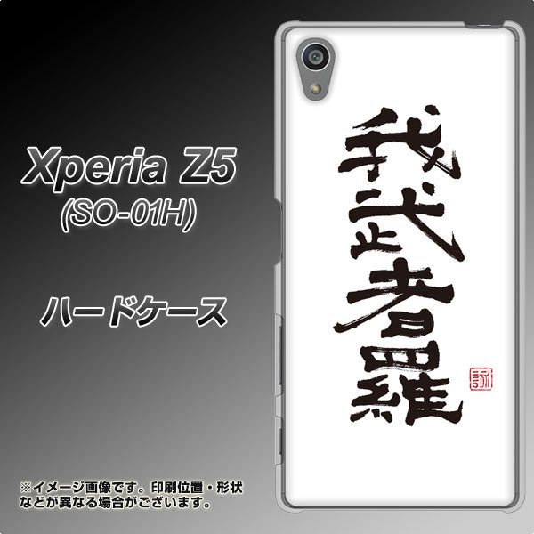 docomo エクスペリアZ5 SO-01H 高画質仕上げ 背面印刷 ハードケース【OE843 我武者羅（がむしゃら）】