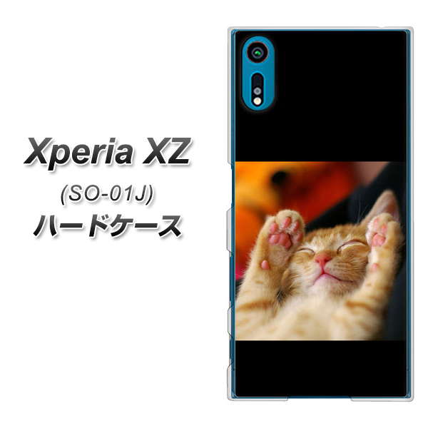 docomo エクスペリアXZ SO-01J 高画質仕上げ 背面印刷 ハードケース【VA804 爆睡するネコ】