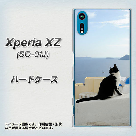 docomo エクスペリアXZ SO-01J 高画質仕上げ 背面印刷 ハードケース【VA805 ネコと地中海】