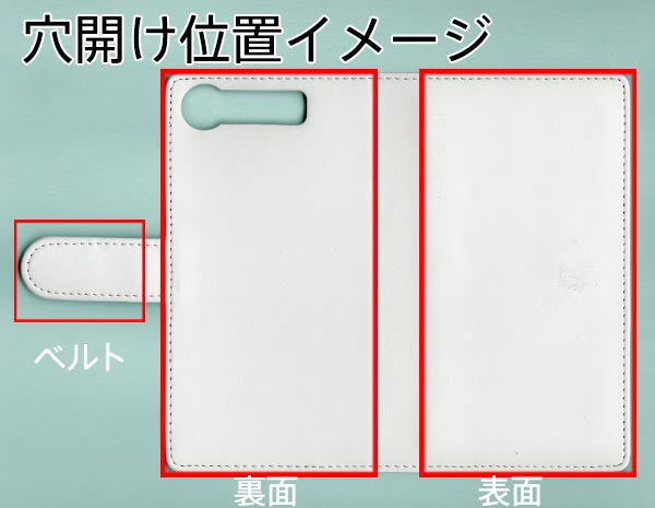 docomo エクスペリアXZ1 SO-01K 画質仕上げ プリント手帳型ケース(薄型スリム)【YA967 魔法のドア02】