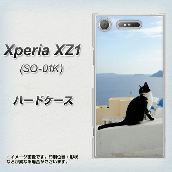 docomo エクスペリアXZ1 SO-01K 高画質仕上げ 背面印刷 ハードケース【VA805 ネコと地中海】