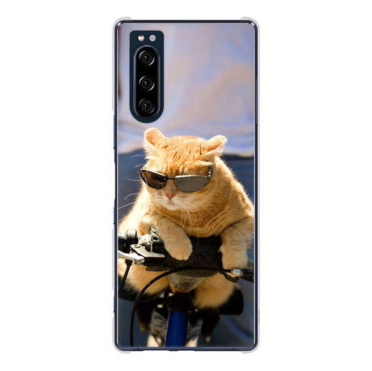 Xperia 5 SO-01M docomo 高画質仕上げ 背面印刷 ハードケース 【595 にゃんとサイクル】